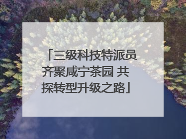 三级科技特派员齐聚咸宁茶园 共探转型升级之路
