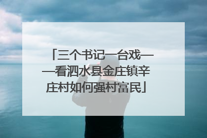 三个书记一台戏——看泗水县金庄镇辛庄村如何强村富民