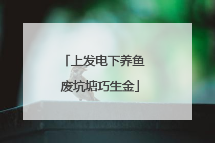 上发电下养鱼 废坑塘巧生金