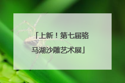 上新！第七届骆马湖沙雕艺术展
