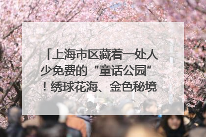上海市区藏着一处人少免费的“童话公园”！绣球花海、金色秘境……地铁直达→