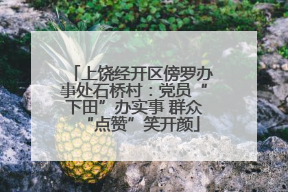 上饶经开区傍罗办事处石桥村：党员“下田”办实事 群众“点赞”笑开颜