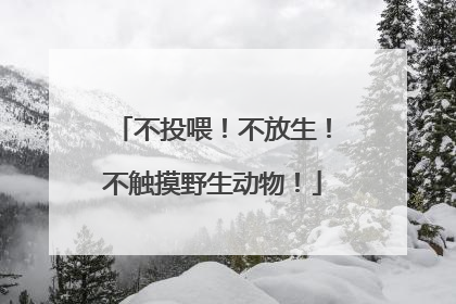 不投喂！不放生！不触摸野生动物！