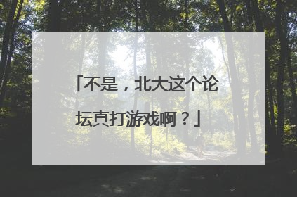不是，北大这个论坛真打游戏啊？