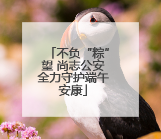 不负“粽”望 尚志公安全力守护端午安康