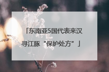东南亚5国代表来汉寻江豚“保护处方”