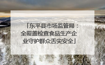 东平县市场监管局：全覆盖检查食品生产企业守护群众舌尖安全