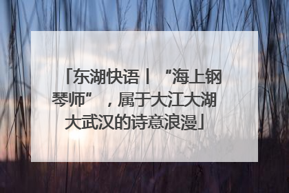 东湖快语丨“海上钢琴师”，属于大江大湖大武汉的诗意浪漫