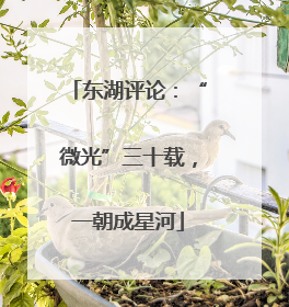 东湖评论：“微光”三十载，一朝成星河