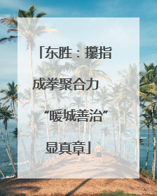 东胜：攥指成拳聚合力 “暖城善治”显真章