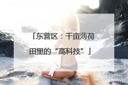 东营区：千亩薄荷田里的“高科技”