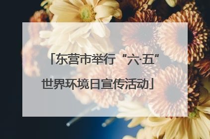 东营市举行“六·五”世界环境日宣传活动