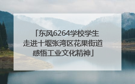 东风6264学校学生走进十堰张湾区花果街道感悟工业文化精神