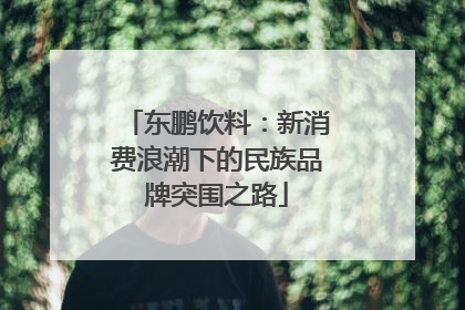 东鹏饮料：新消费浪潮下的民族品牌突围之路