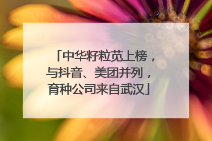 中华籽粒苋上榜，与抖音、美团并列，育种公司来自武汉