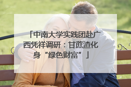 中南大学实践团赴广西凭祥调研：甘蔗渣化身“绿色财富”