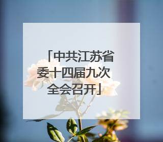 中共江苏省委十四届九次全会召开