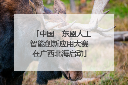中国—东盟人工智能创新应用大赛在广西北海启动