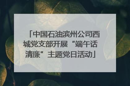 中国石油滨州公司西城党支部开展“端午话清廉”主题党日活动