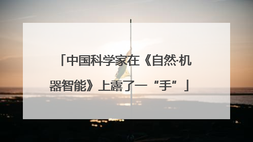 中国科学家在《自然·机器智能》上露了一“手”