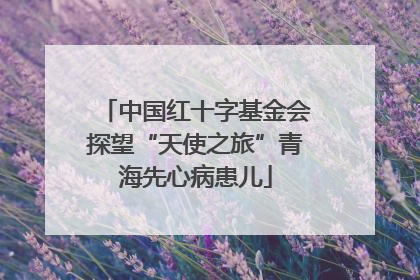中国红十字基金会探望“天使之旅”青海先心病患儿