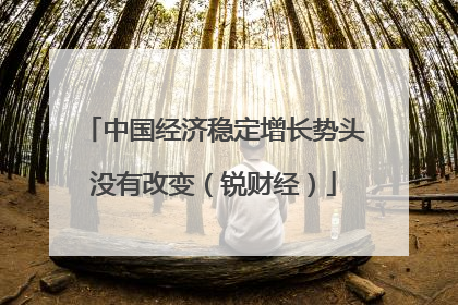 中国经济稳定增长势头没有改变（锐财经）