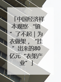中国经济样本观察·“镇”了不起｜为衣做架，“挂”出来的80亿元“衣架产业”