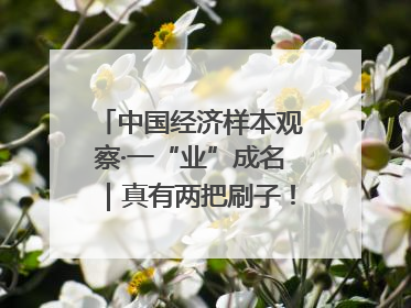 中国经济样本观察·一“业”成名｜真有两把刷子！“刷”出30亿级“颜值经济”