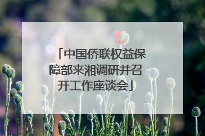 中国侨联权益保障部来湘调研并召开工作座谈会
