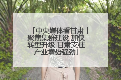 中央媒体看甘肃丨聚焦集群建设 加快转型升级 甘肃支柱产业增势强劲