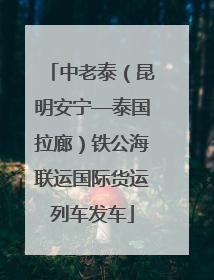 中老泰（昆明安宁—泰国拉廊）铁公海联运国际货运列车发车