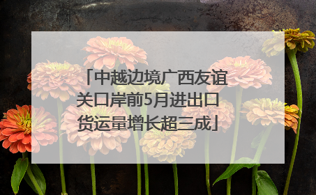 中越边境广西友谊关口岸前5月进出口货运量增长超三成