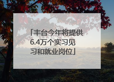 丰台今年将提供6.4万个实习见习和就业岗位