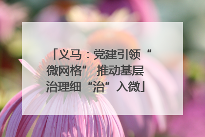 义马：党建引领“微网格” 推动基层治理细“治”入微