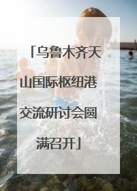 乌鲁木齐天山国际枢纽港交流研讨会圆满召开