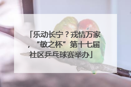 乐动长宁？戎情万家，“敏之杯”第十七届社区乒乓球赛举办