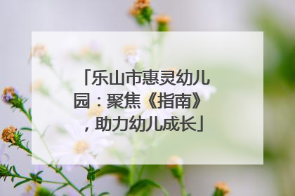 乐山市惠灵幼儿园：聚焦《指南》，助力幼儿成长