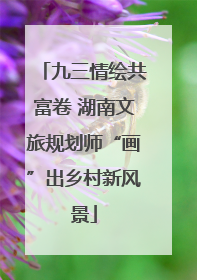 九三情绘共富卷 湖南文旅规划师“画”出乡村新风景