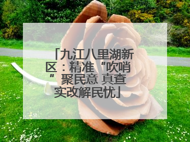 九江八里湖新区：精准“吹哨”聚民意 真查实改解民忧
