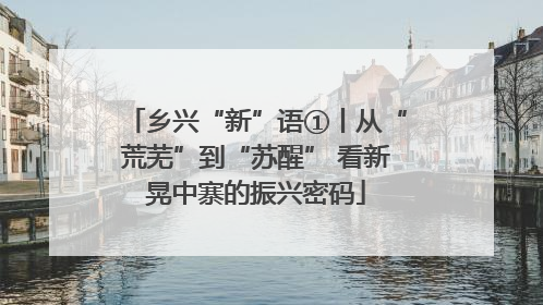 乡兴“新”语①丨从“荒芜”到“苏醒” 看新晃中寨的振兴密码