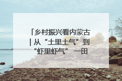 乡村振兴看内蒙古｜从“土里土气”到“虾里虾气” 一田双收模式火出圈