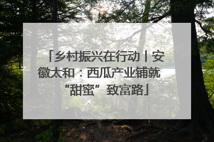 乡村振兴在行动丨安徽太和：西瓜产业铺就“甜蜜”致富路