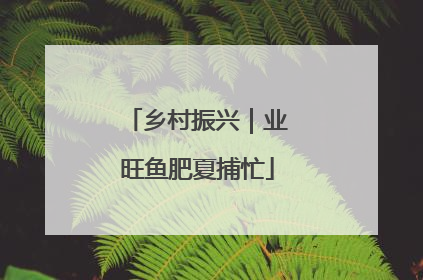 乡村振兴｜业旺鱼肥夏捕忙