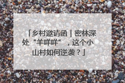 乡村邀请函｜密林深处“羊咩咩”，这个小山村如何逆袭？