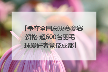 争夺全国总决赛参赛资格 超600名羽毛球爱好者竞技成都