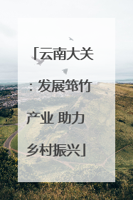 云南大关：发展筇竹产业 助力乡村振兴