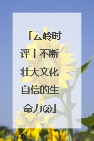 云岭时评丨不断壮大文化自信的生命力②