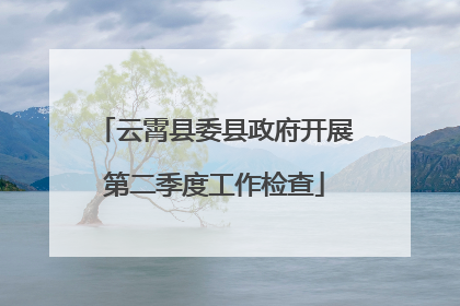 云霄县委县政府开展第二季度工作检查