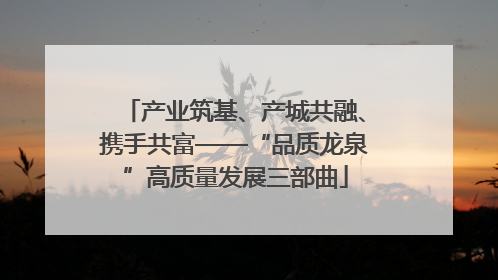 产业筑基、产城共融、携手共富——“品质龙泉”高质量发展三部曲