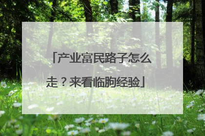 产业富民路子怎么走？来看临朐经验
